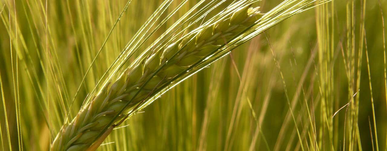 Art is a thoughtful and thorough process, not to be taken lightly.